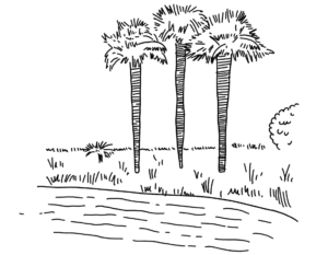 Illustration du cadre et des arbres du domaine du haou